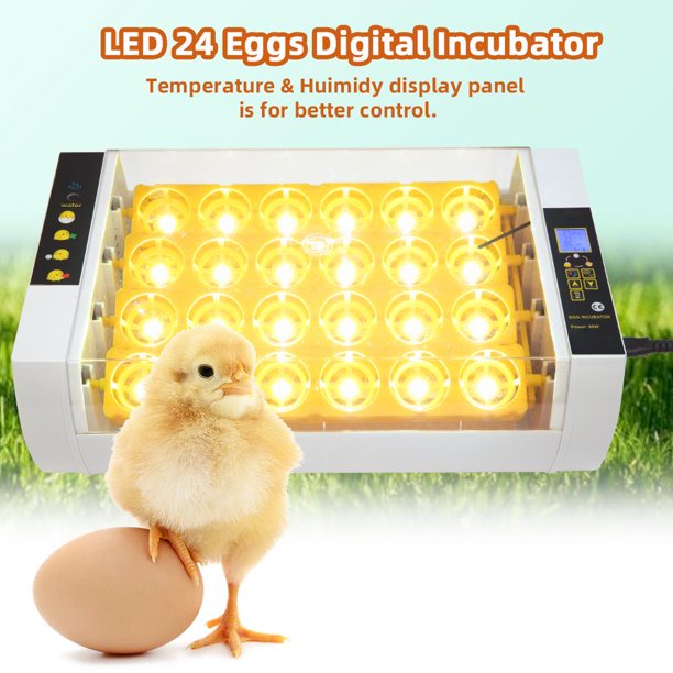 Piscis Egg Incubator with Automatic Egg Turner, 24 Eggs